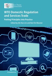 bokomslag WTO Domestic Regulation and Services Trade