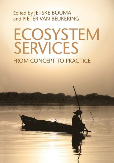 bokomslag Ecosystem Services