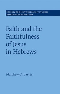 bokomslag Faith and the Faithfulness of Jesus in Hebrews