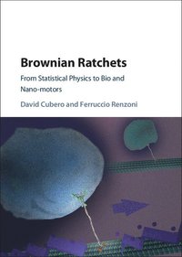 bokomslag Brownian Ratchets