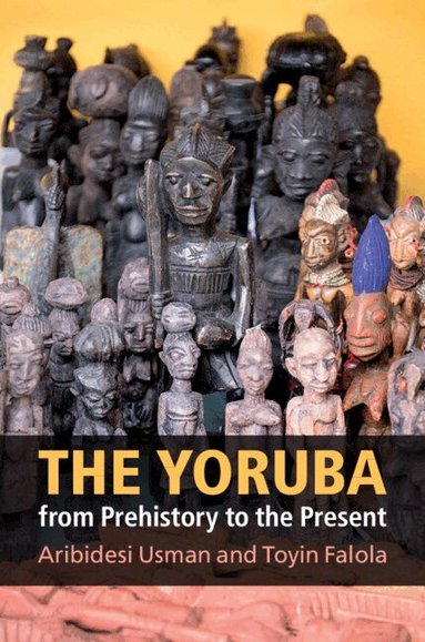 Aribidesi Usman, Toyin Falola - The Yoruba from Prehistory to the Present, Inbunden