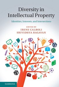 bokomslag Diversity in Intellectual Property