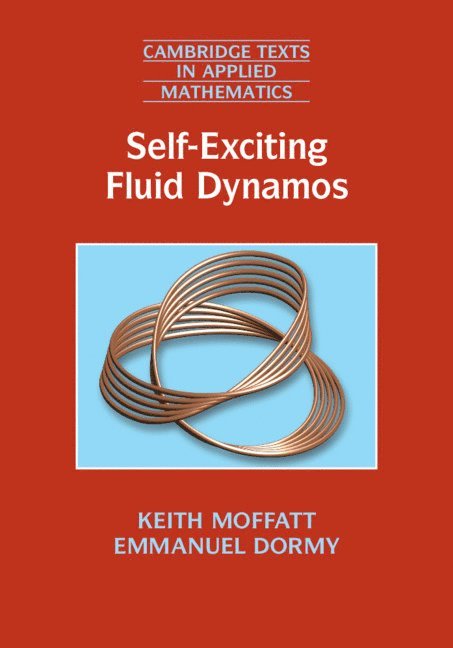 Self-Exciting Fluid Dynamos 1