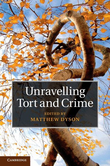 Matthew Dyson - Unravelling Tort and Crime, Inbunden