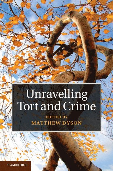 bokomslag Unravelling Tort and Crime