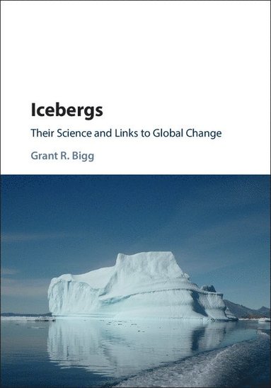 bokomslag Icebergs