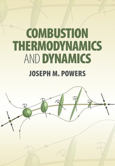 bokomslag Combustion Thermodynamics and Dynamics