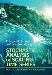 bokomslag Stochastic Analysis of Scaling Time Series