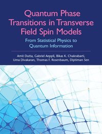 bokomslag Quantum Phase Transitions in Transverse Field Spin Models