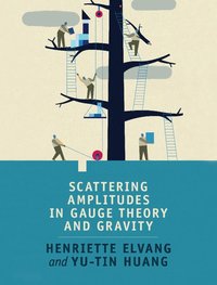 bokomslag Scattering Amplitudes in Gauge Theory and Gravity