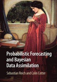 bokomslag Probabilistic Forecasting and Bayesian Data Assimilation