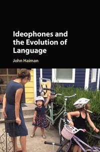 bokomslag Ideophones and the Evolution of Language