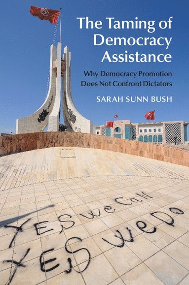 bokomslag Taming of Democracy Assistance