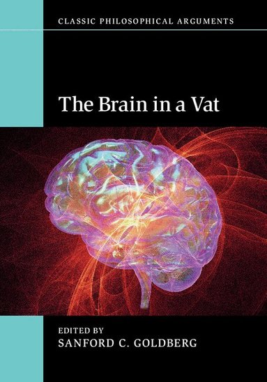 Sanford C. Goldberg - The Brain in a Vat, Inbunden