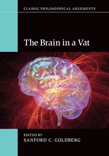 bokomslag The Brain in a Vat