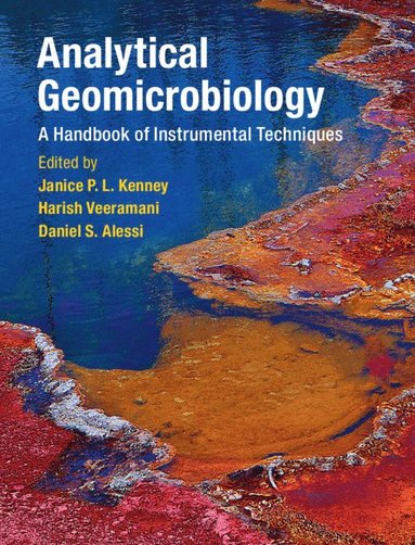 bokomslag Analytical Geomicrobiology