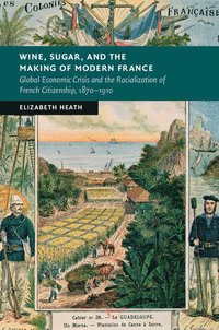 bokomslag Wine, Sugar, and the Making of Modern France