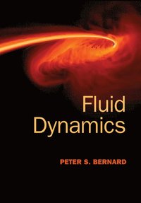 bokomslag Fluid Dynamics