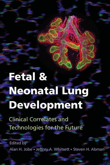 Alan H. Jobe, Jeffrey A. Whitsett, Steven H. Abman - Fetal and Neonatal Lung Development, Inbunden