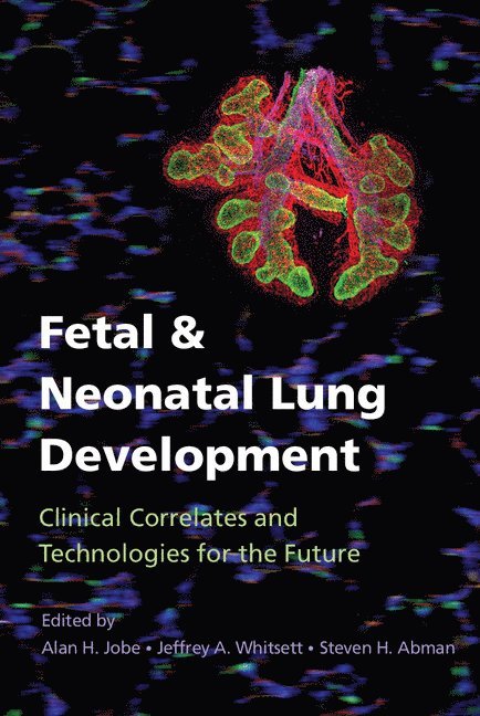 Alan H. Jobe, Jeffrey A. Whitsett, Steven H. Abman, Alan H. (University of Cincinnati) Jobe, Alan H Jobe, Jeffrey A Whitsett, Steven H Abman - Fetal and Neonatal Lung Development, Inbunden