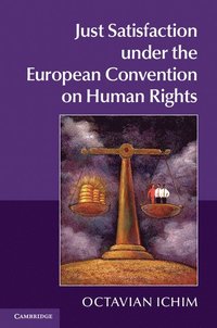 bokomslag Just Satisfaction under the European Convention on Human Rights