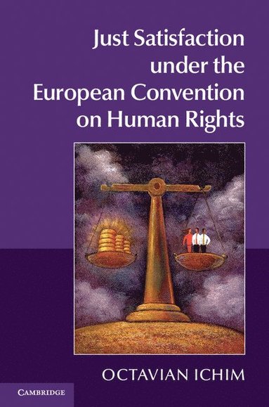 bokomslag Just Satisfaction under the European Convention on Human Rights