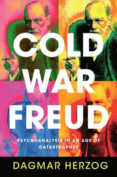 bokomslag Cold War Freud