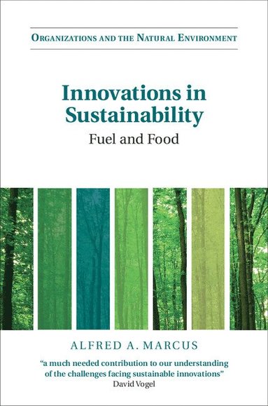 bokomslag Innovations in Sustainability