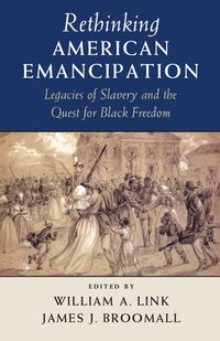 bokomslag Rethinking American Emancipation