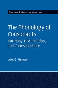 bokomslag The Phonology of Consonants
