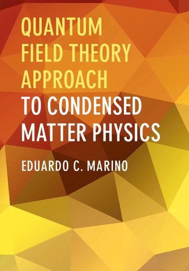 bokomslag Quantum Field Theory Approach to Condensed Matter Physics