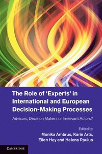 bokomslag The Role of 'Experts' in International and European Decision-Making Processes