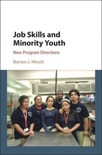 bokomslag Job Skills and Minority Youth