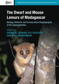 bokomslag The Dwarf and Mouse Lemurs of Madagascar