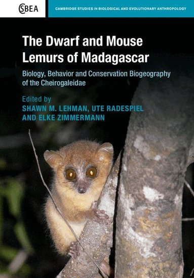 Shawn M. Lehman, Ute Radespiel, Elke Zimmermann - The Dwarf and Mouse Lemurs of Madagascar, Inbunden