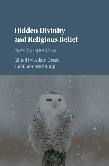 Adam Green, Eleonore Stump - Hidden Divinity and Religious Belief, Inbunden