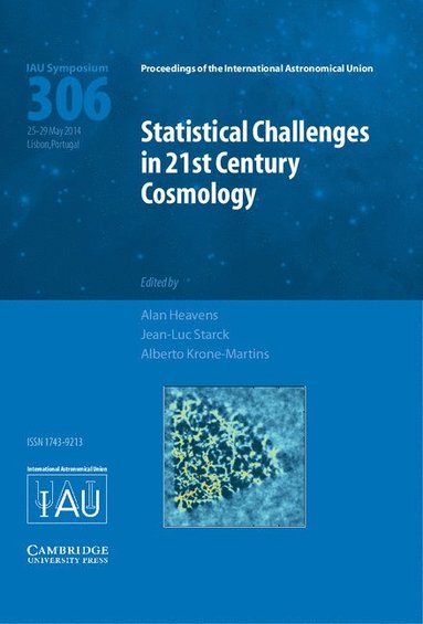 bokomslag Statistical Challenges in 21st Century Cosmology (IAU S306)