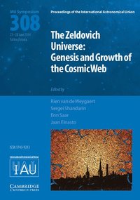 bokomslag The Zeldovich Universe (IAU S308)