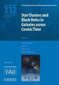 bokomslag Star Clusters and Black Holes in Galaxies across Cosmic Time (IAU S312)