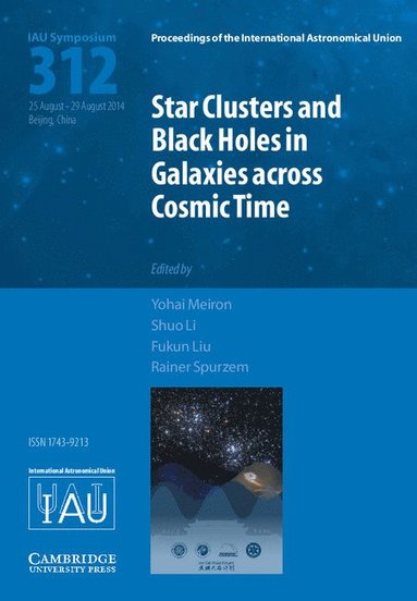 bokomslag Star Clusters and Black Holes in Galaxies across Cosmic Time (IAU S312)