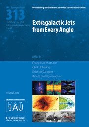 Francesco Massaro, Chi C. Cheung, Ericson D. Lopez, Aneta Siemiginowska - Extragalactic Jets from Every Angle (IAU S313), Inbunden