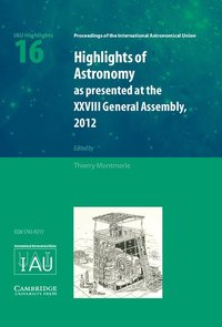 bokomslag Highlights of Astronomy: Volume 16