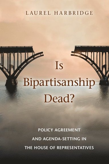 bokomslag Is Bipartisanship Dead?