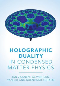 bokomslag Holographic Duality in Condensed Matter Physics