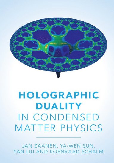 bokomslag Holographic Duality in Condensed Matter Physics