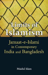 bokomslag Limits of Islamism