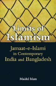 bokomslag Limits of Islamism