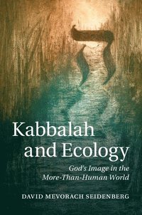 bokomslag Kabbalah and Ecology