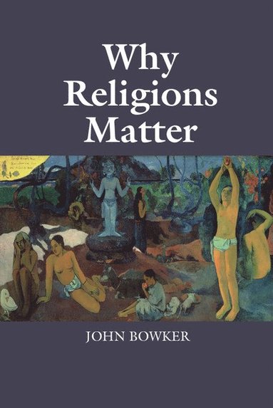 bokomslag Why Religions Matter