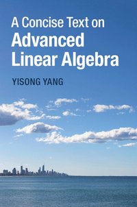 bokomslag A Concise Text on Advanced Linear Algebra